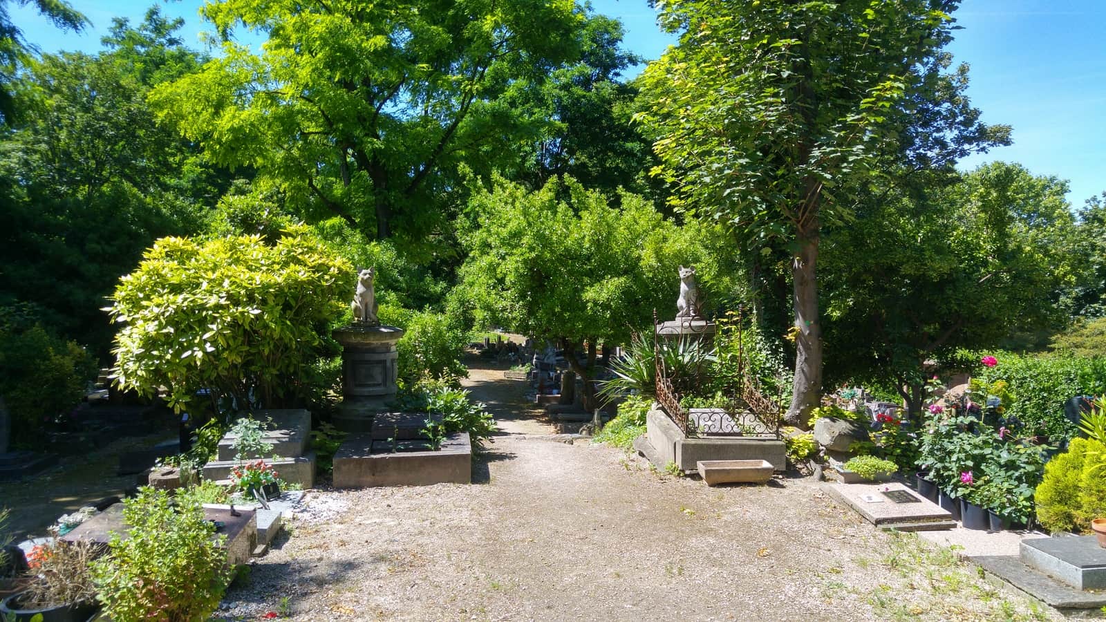 cimetière des chiens asnières