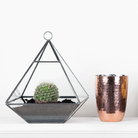 black-pyramid-terrarium