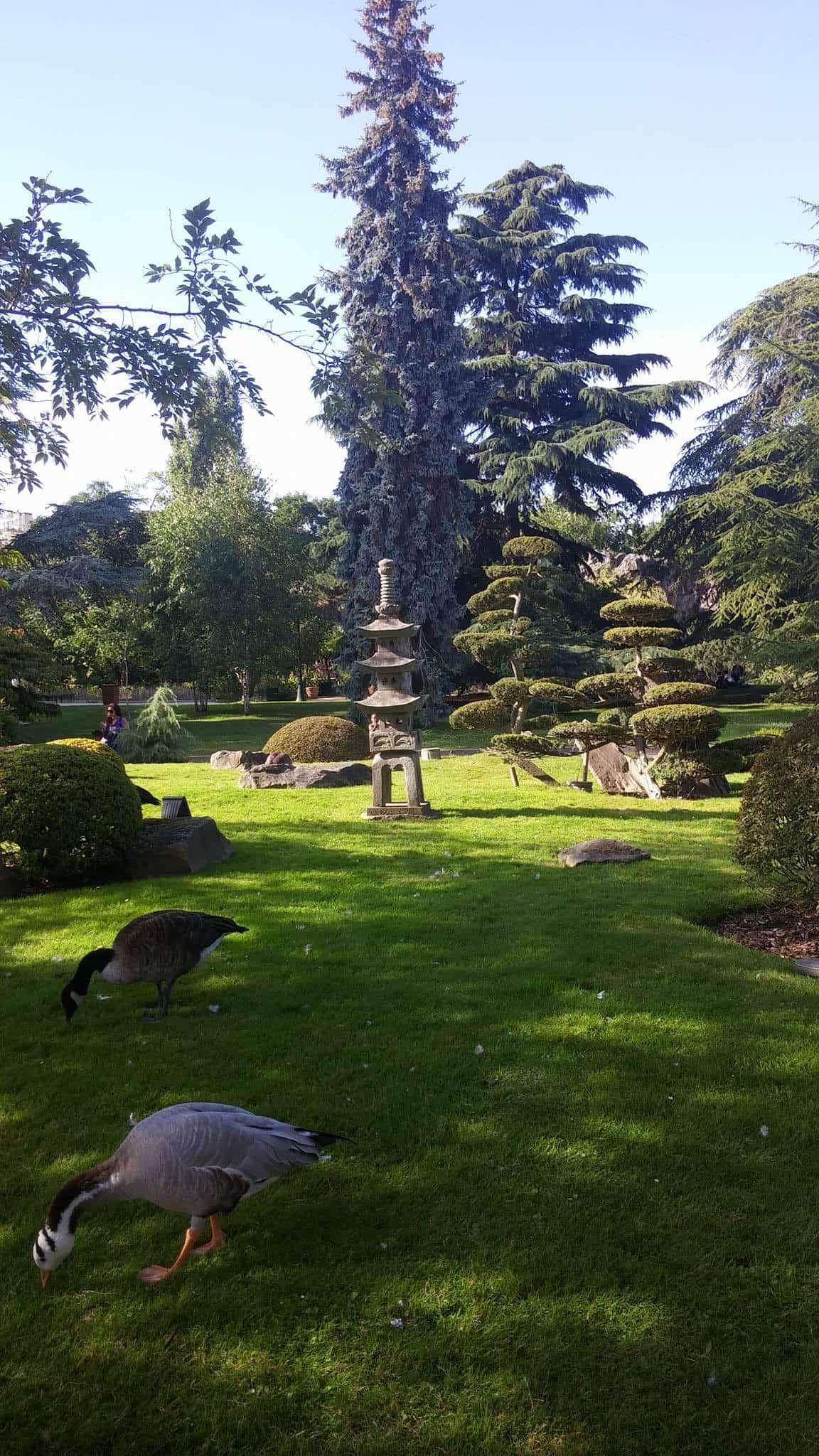 jardin d'acclimatation