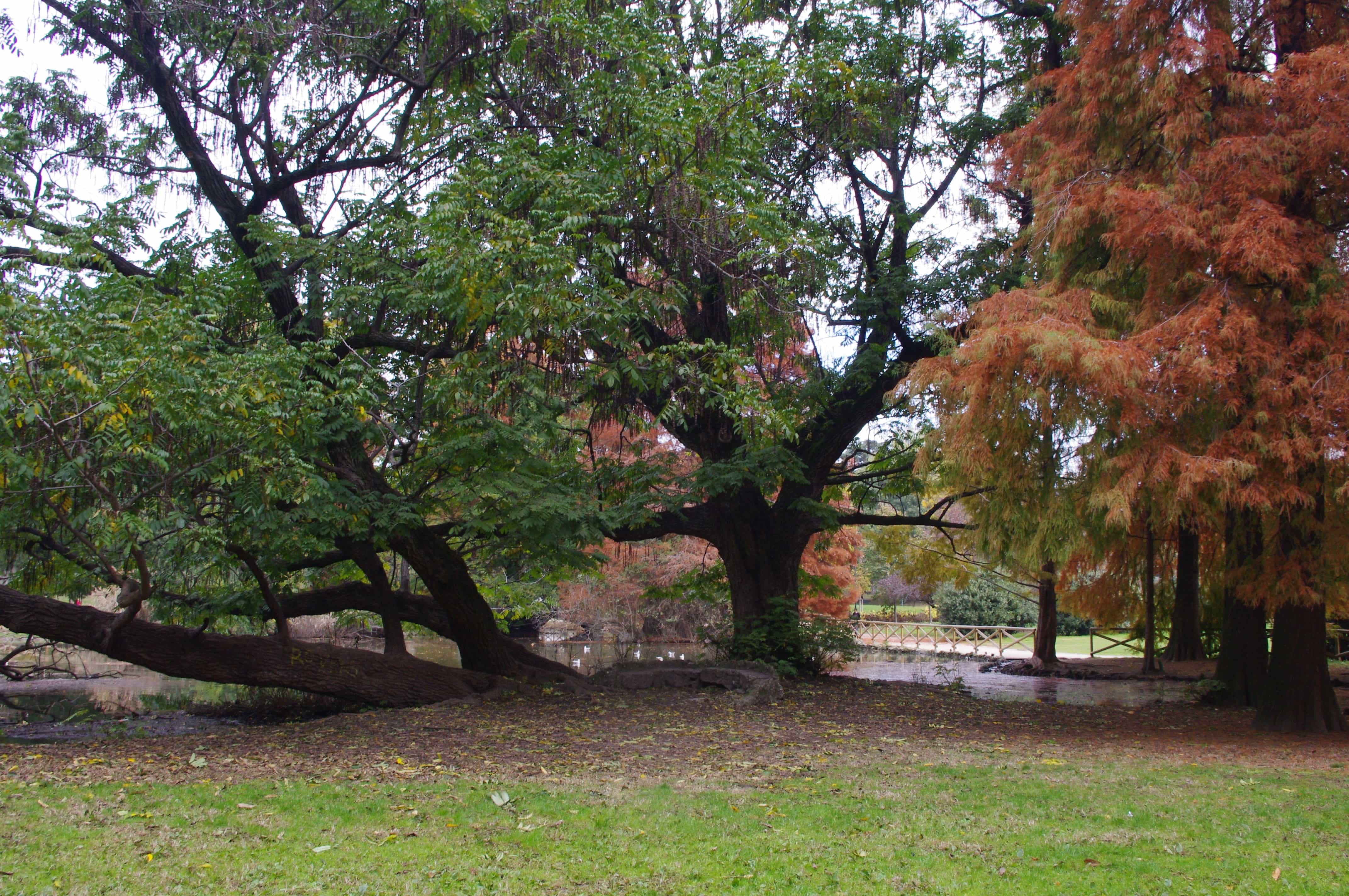 parc sempione