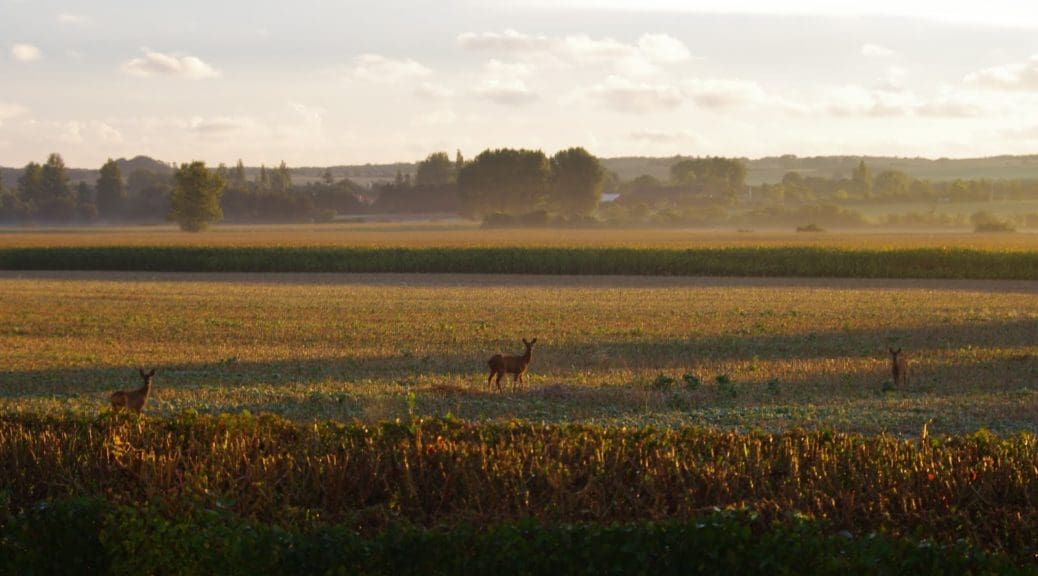 danemark mon hygge