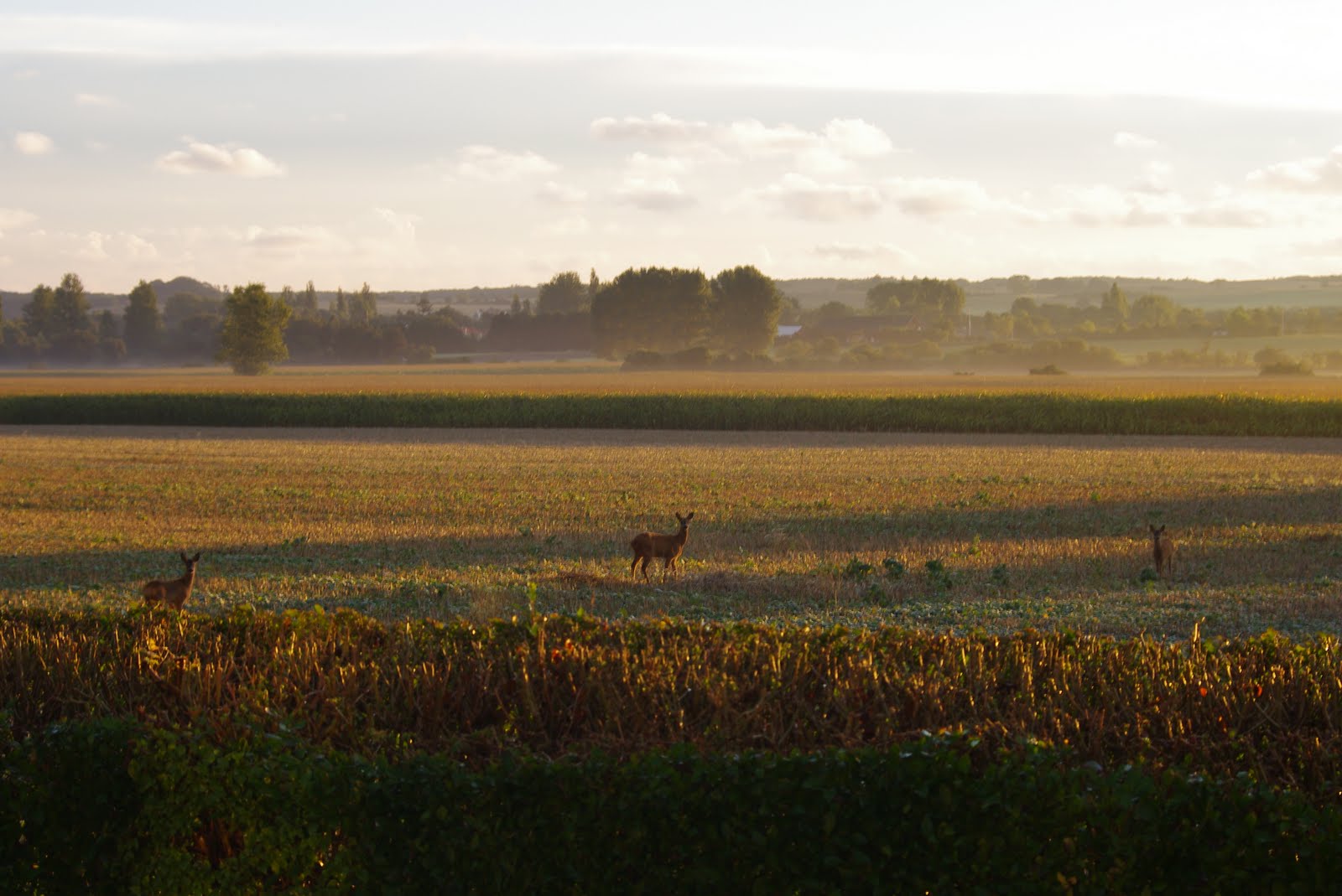 danemark mon hygge