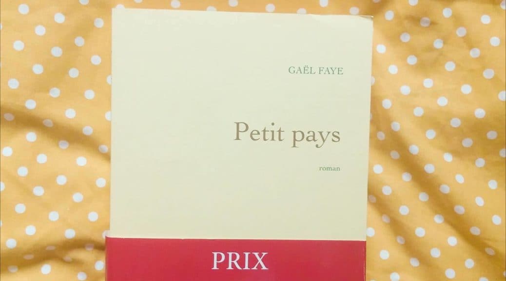 petit pays gael faye avis blog