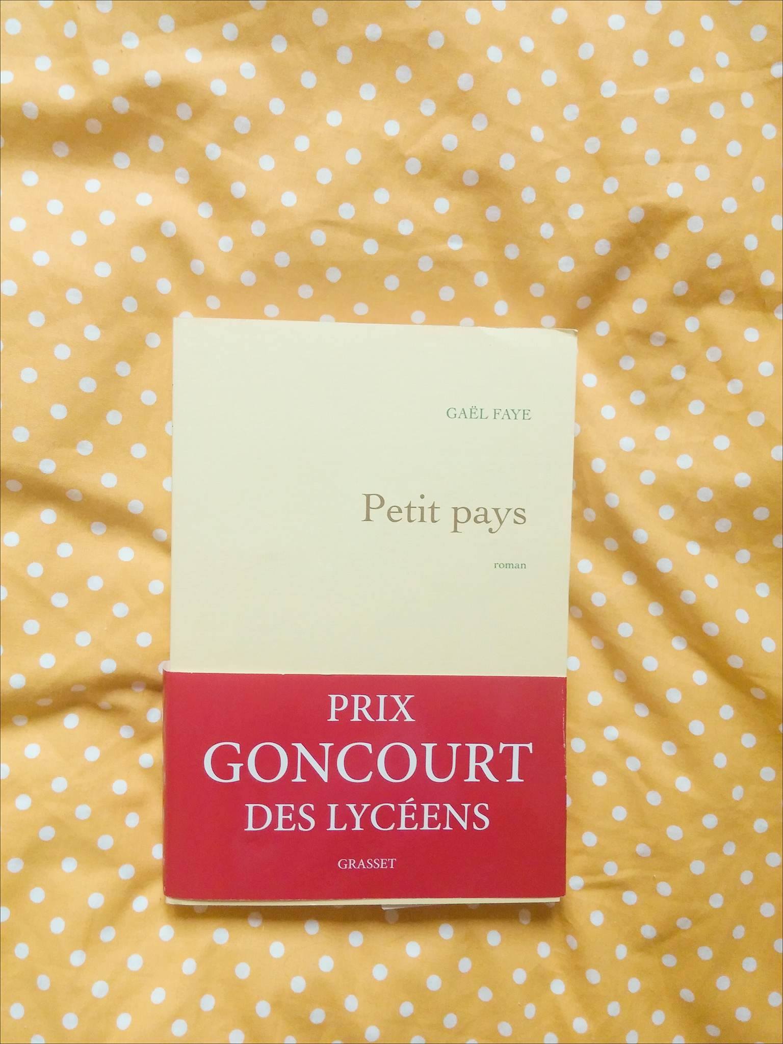 petit pays gael faye avis blog