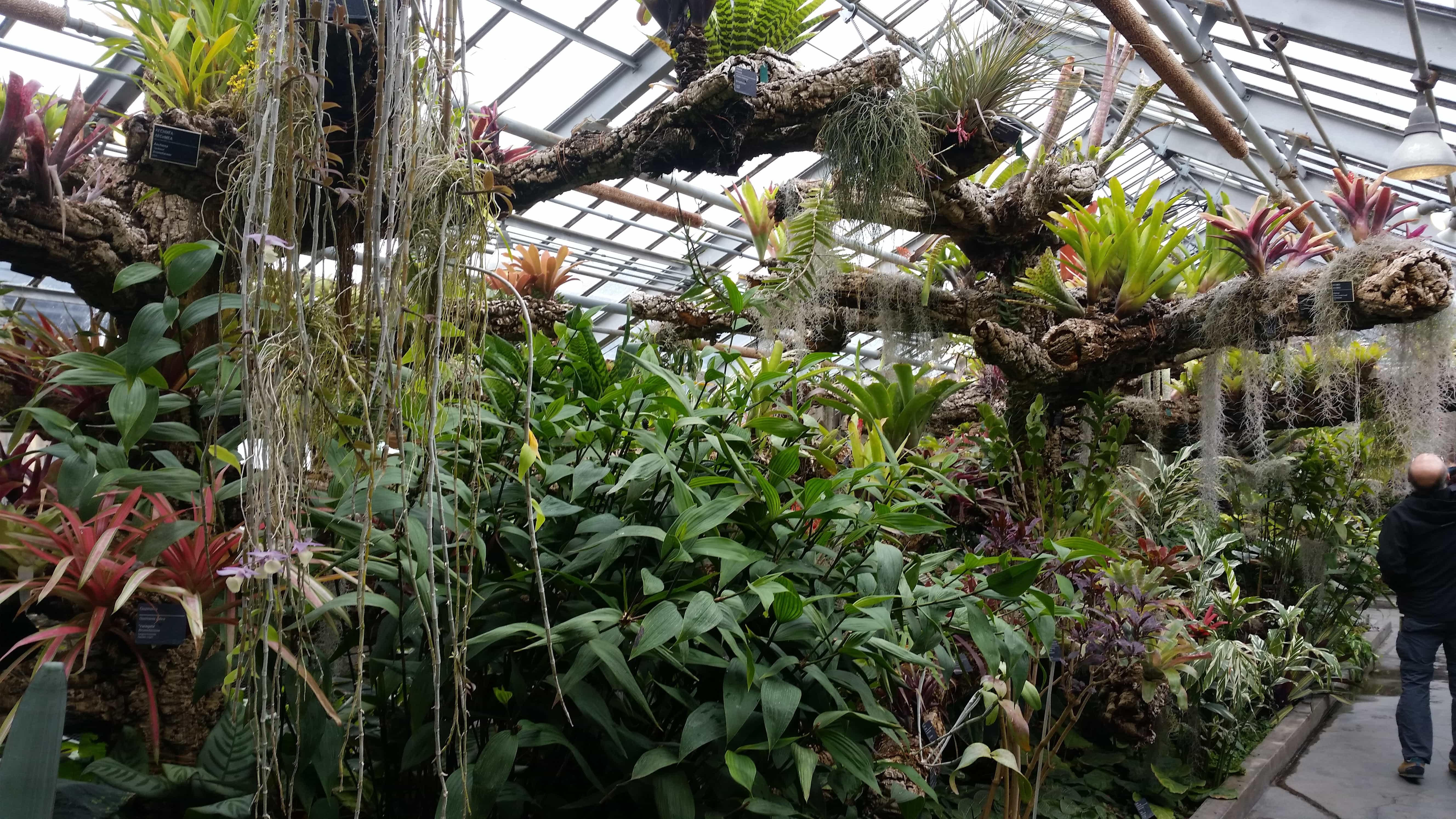 jardin botanique de montréal