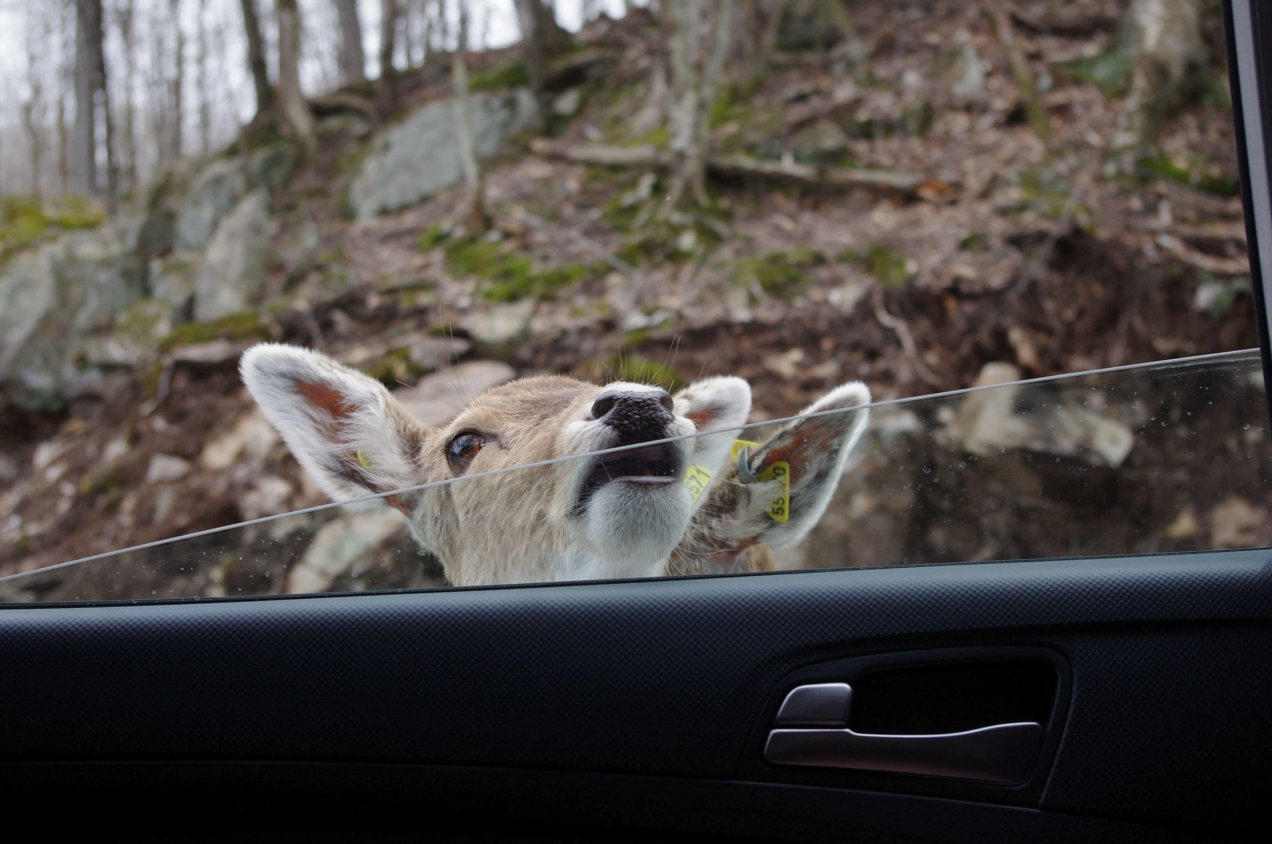 parc omega