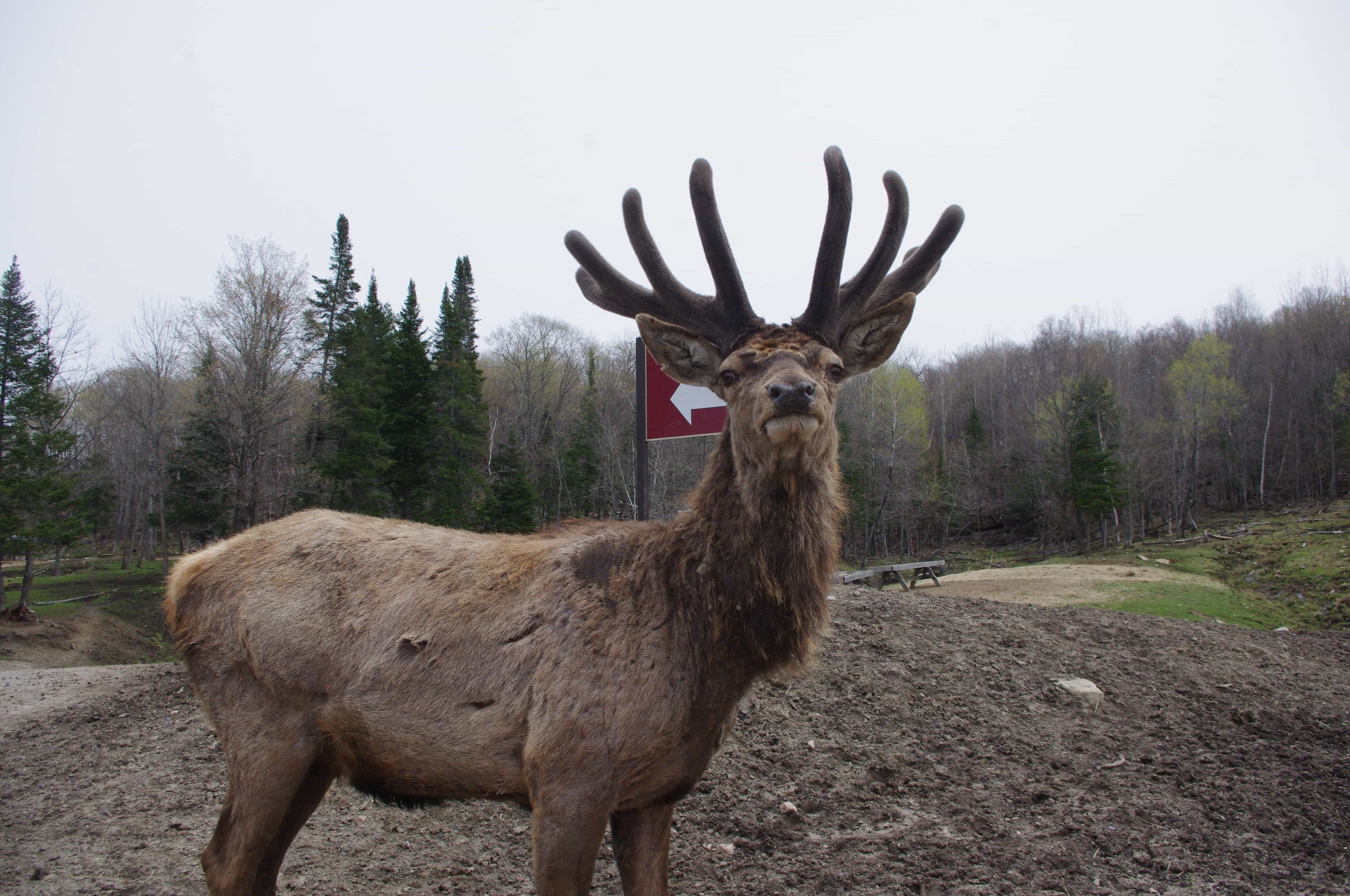 parc omega