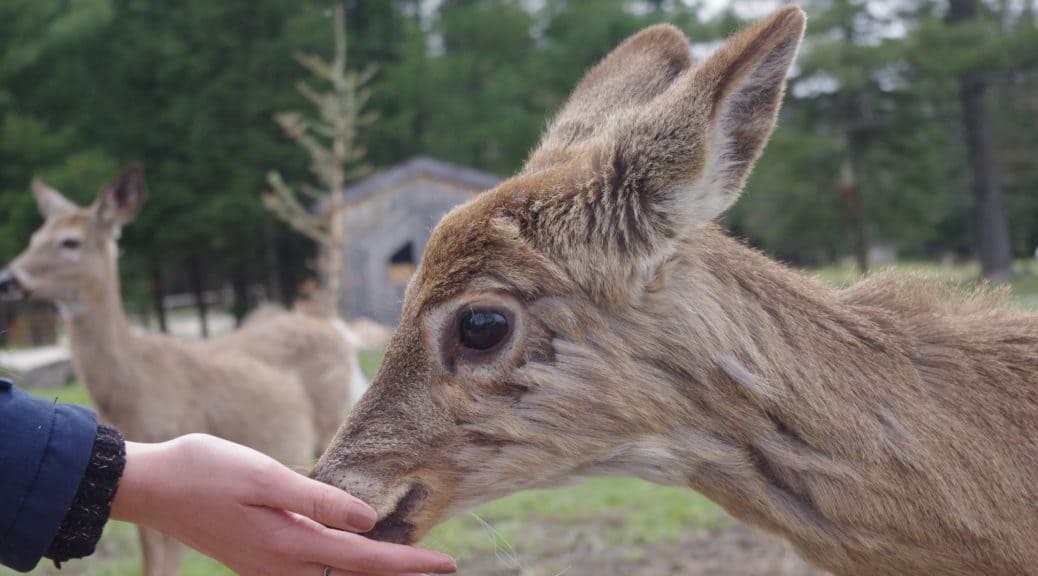 parc omega