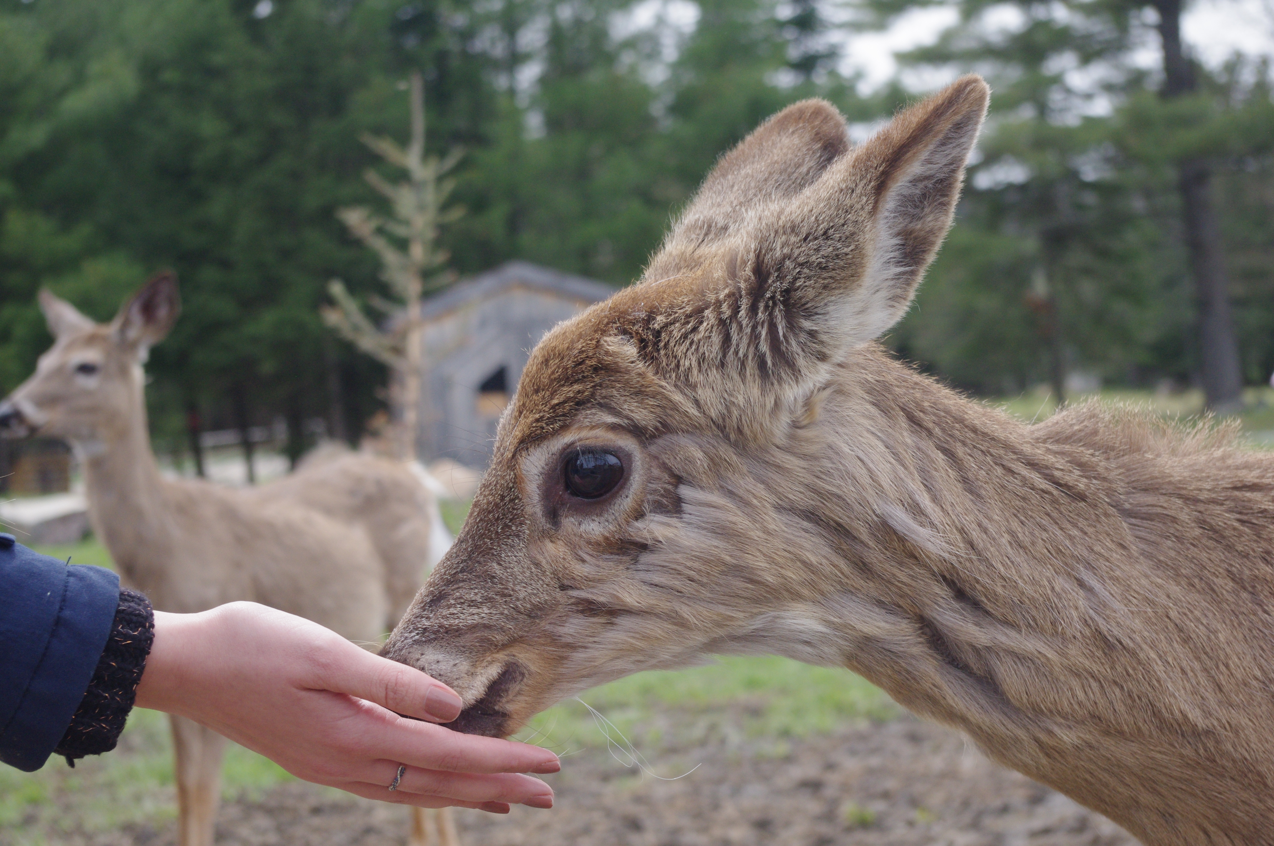 parc omega