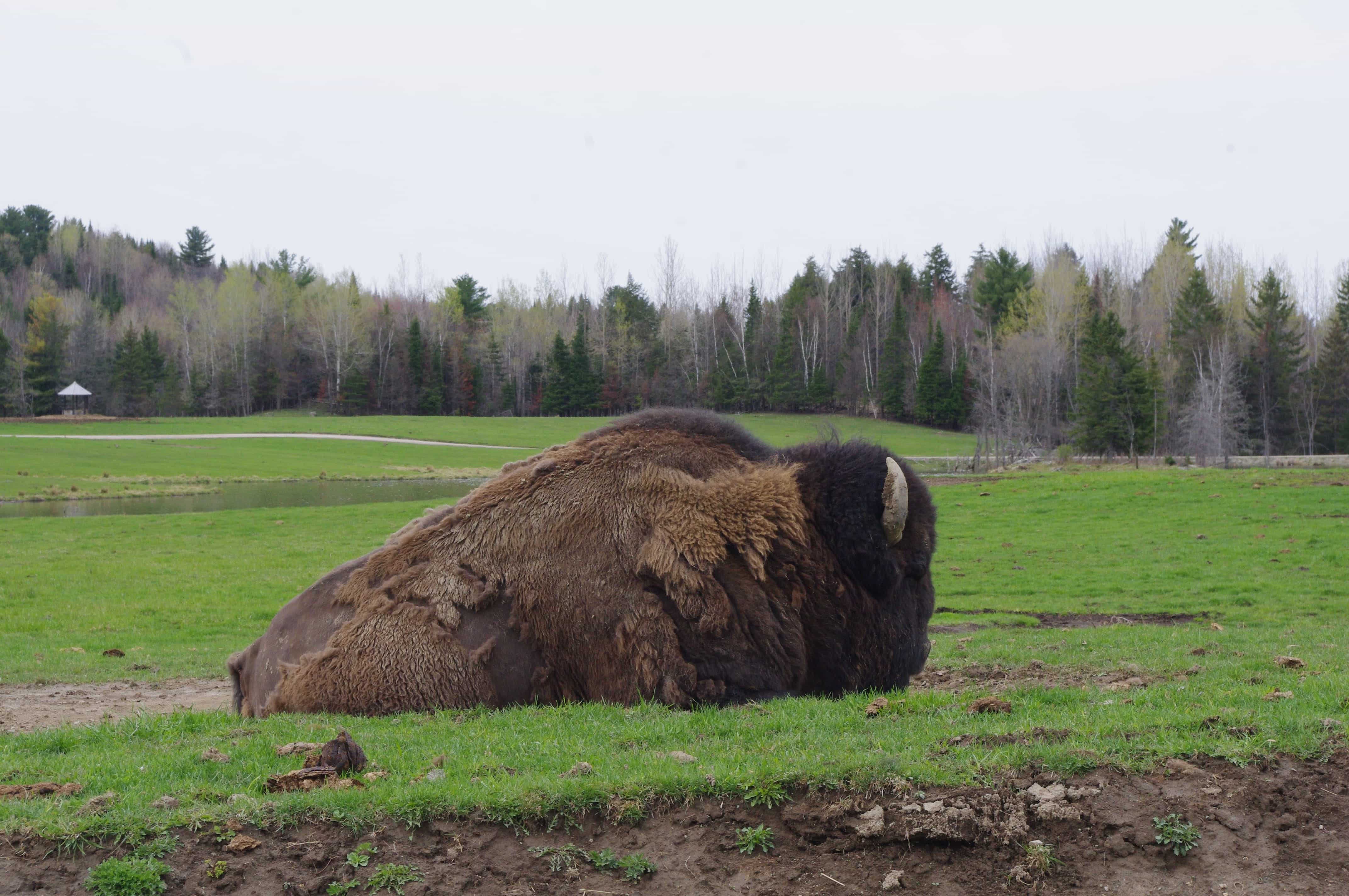 parc omega