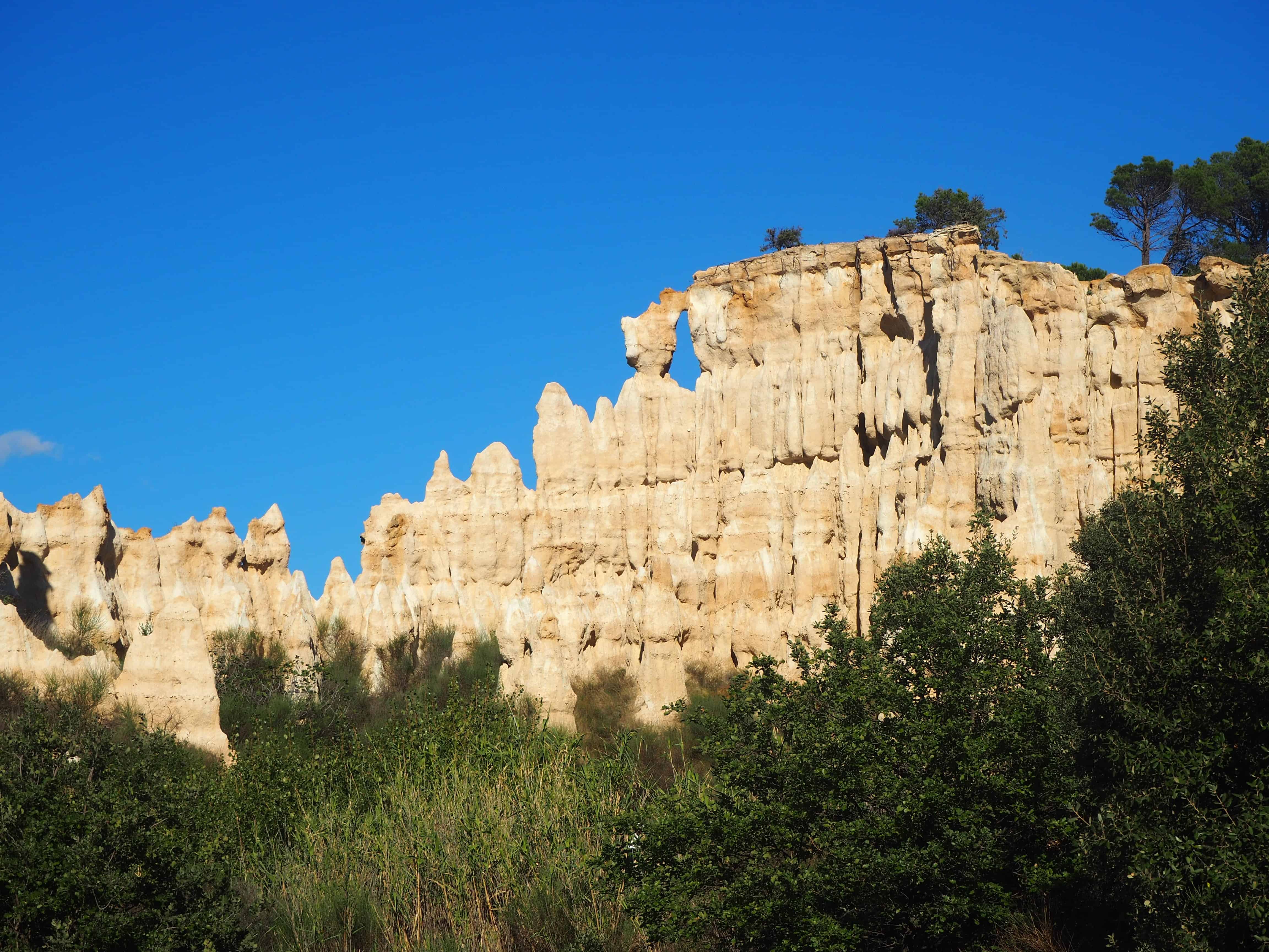 orgues ille sur tet