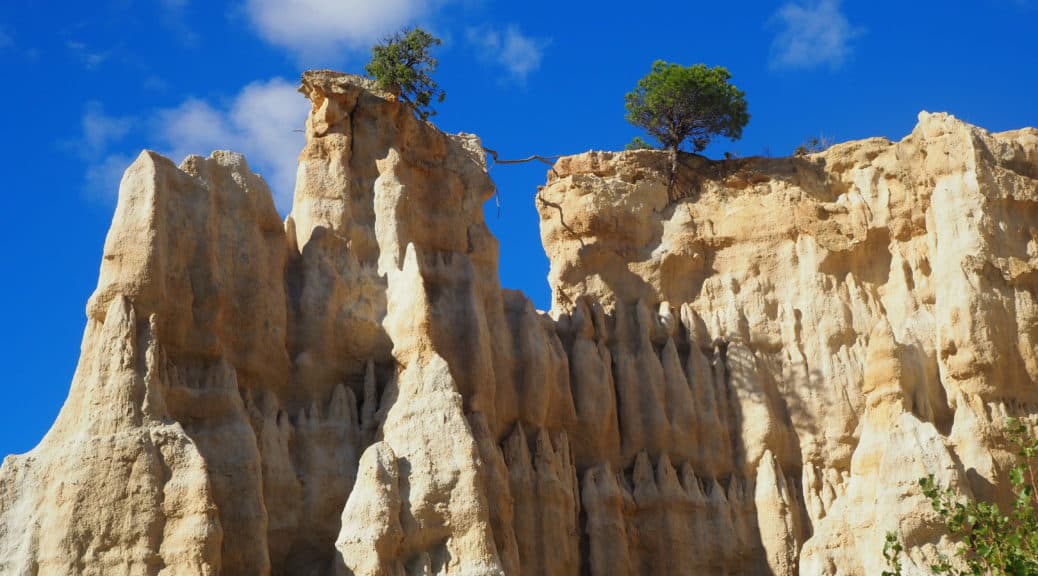 Orgues d'ille sur tet