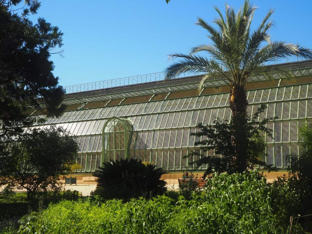 serre jardin des plantes montpellier